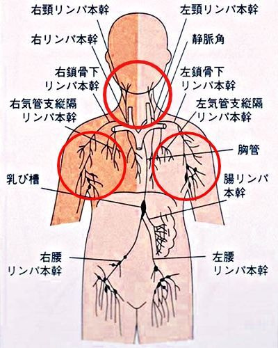 リンパ