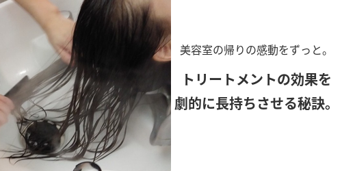 トリートメント定着